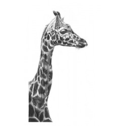 Jamie Boots - Elegance Large (Giraffe) 