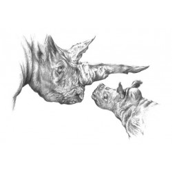 Jamie Boots - Hi Mum Large (Southern White Rhino)