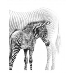 Jamie Boots - Kaleidoscope (Grevys Zebra)