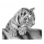 Jamie Boots - Looking For Trouble (Siberian Tiger Cub)