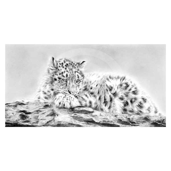 Jamie Boots - Mountain View (Snow Leopard Cub) 