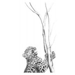 Jamie Boots - Out Of Reach (Amur Leopard)