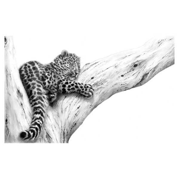 Jamie Boots - Out On A Limb (Amur Leopard Cub)
