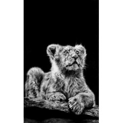 Jamie Boots - Prince of Darkness 