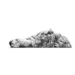Jamie Boots - Restless Slumber (Siberian Tiger)