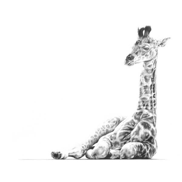 Jamie Boots - Serenity (Giraffe)