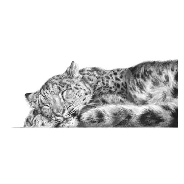 Jamie Boots - Sweet Dreams (Snow Leopard)
