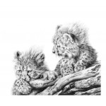 Jamie Boots - The Lookout Post (Cheetah Cubs)
