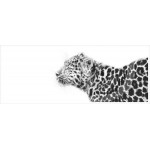 Jamie Boots - Tranquil Beauty (Amur Leopard)