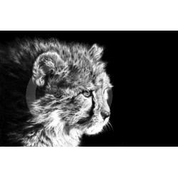 Jamie Boots - Vigilance (Cheetah Cub)