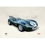 John Francis  - D-Type Jaguar