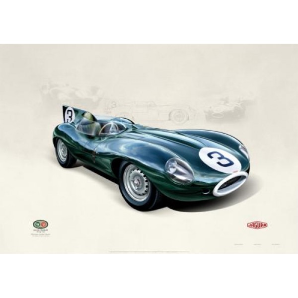 John Francis  - D-Type Jaguar