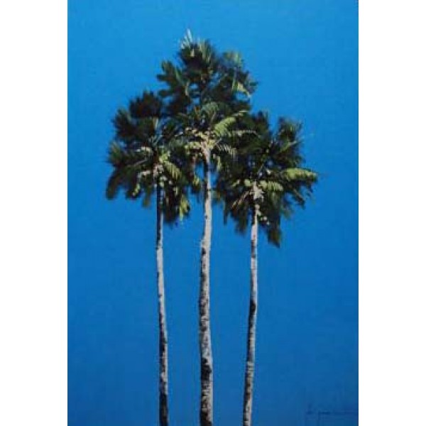 John Horsewell - Palms