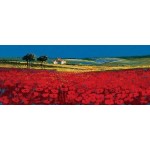John Horsewell - Red Fields, Tuscany (Small)