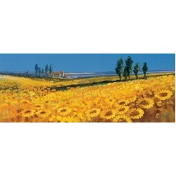 John Horsewell - Yellow Fields, Tuscany (Large)