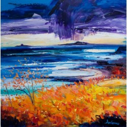 John Lowrie Morrison - Lunga & The Dutchman's Cap from Torloisk