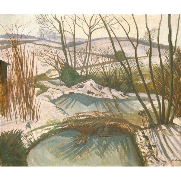 John Nash - Frozen Ponds