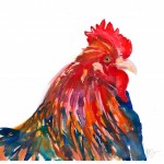 Kate Stephens - Colourful Cockerel