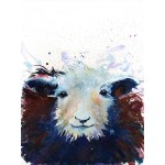 Kate Stephens - Handsome Herdwick