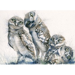 Kay Johns - A Family Portrait (Owls)