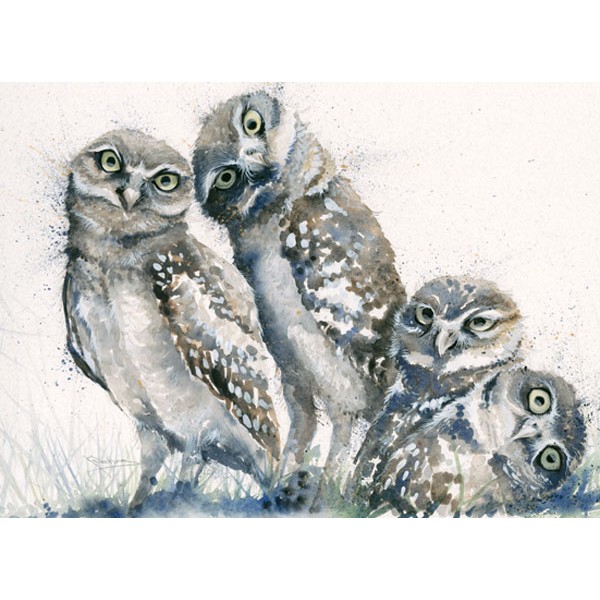 Kay Johns - A Family Portrait (Owls)