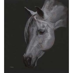 Kay Johns - Arabian Magic (Large)