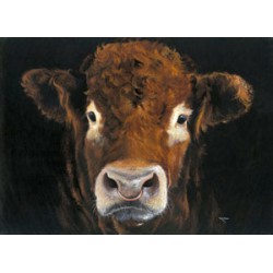 Kay Johns - Big Brother