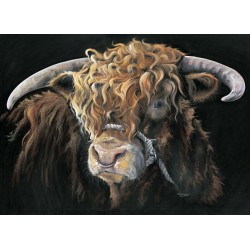 Kay Johns - Big Mac (Highland Bull) Large