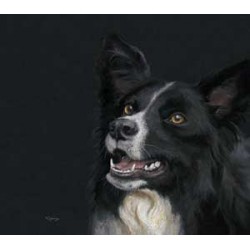 Kay Johns - Borderline