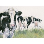 Kay Johns - Cheeky Girls (Dairy Cows)   