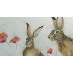 Kay Johns - Field of Dreams 