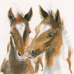 Kay Johns - Foaling in Love 