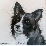 Kay Johns - Freya (Border Collie) 