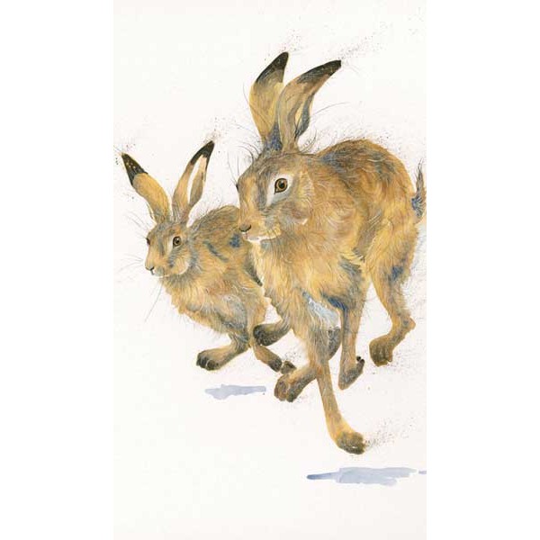 Kay Johns - Going For Gold (Hares)
