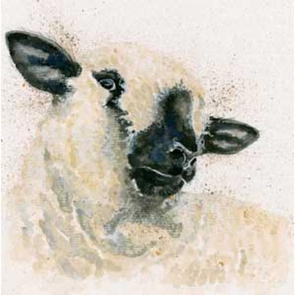 Kay Johns - Hampshire Sheep 