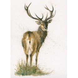 Kay Johns - Highlander (Large)