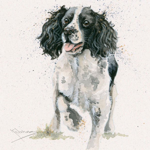 Kay Johns - Jasper (Springer)