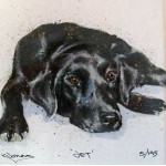 Kay Johns - Jet (Black Lab) 