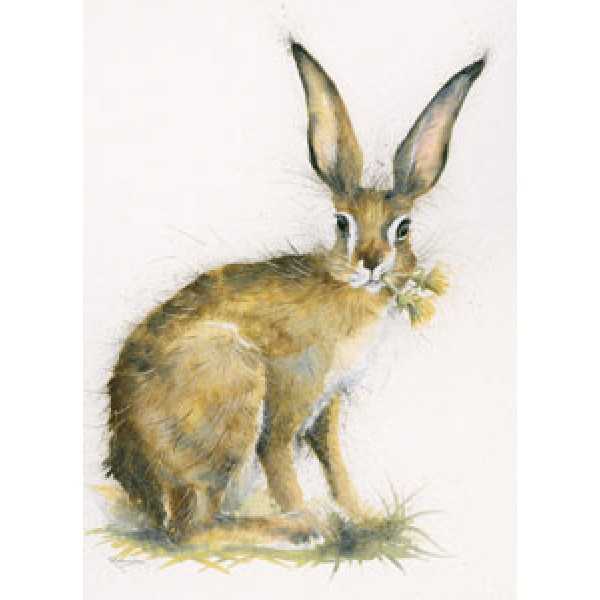 Kay Johns - Just Dandy (Hare) - Large