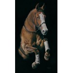 Kay Johns - Leap of Faith (Horse)