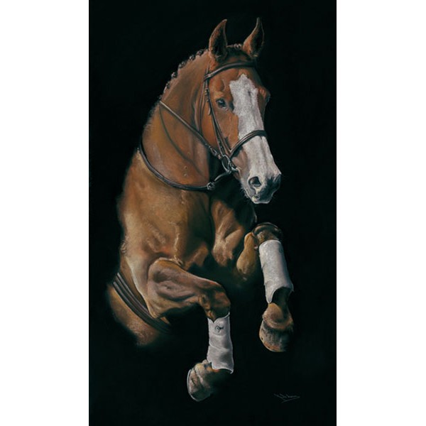 Kay Johns - Leap of Faith (Horse)