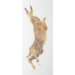 Kay Johns - March Hare
