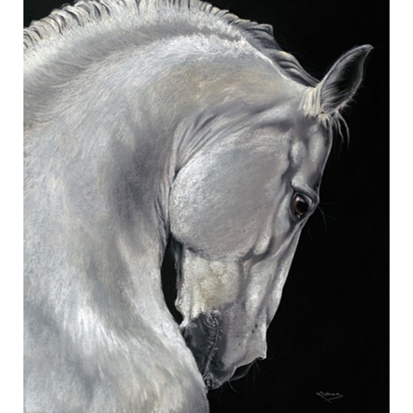 Kay Johns - Noble Grey (Horse) Small