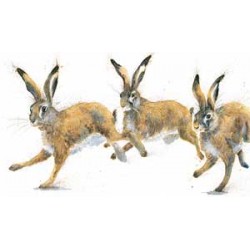 Kay Johns - Playmates 