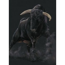 Kay Johns - Raging Bull  