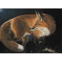 Kay Johns - Sly By Night (Large)