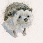 Kay Johns - Spike (Hedgehog) 