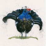 Kay Johns - Squire (Black Grouse)