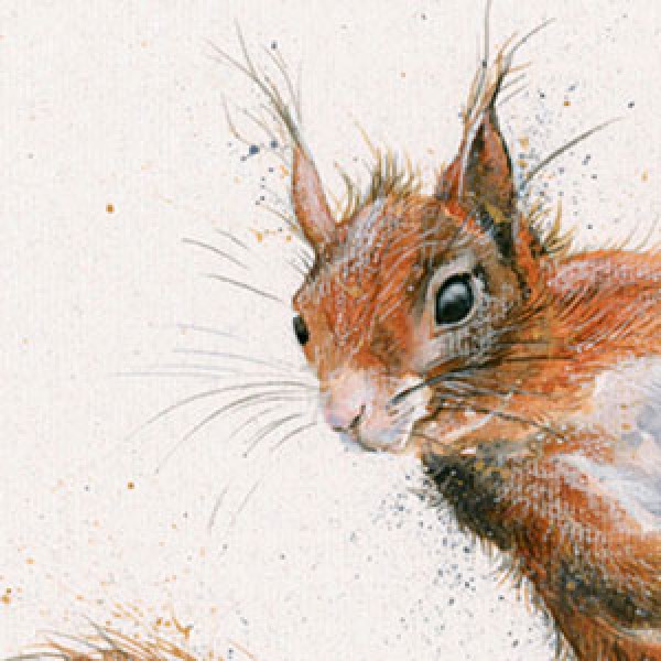 Kay Johns - The Nutter (Red Squirrel)