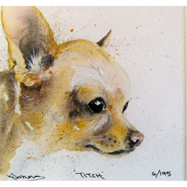 Kay Johns - Titch (Chihuahua)